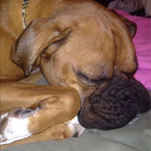 Meet your Posher, Robin